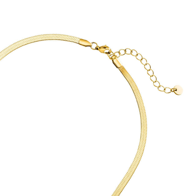 Snake Skin | 18k Gold Plated Chain - - Prim & Proper -